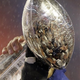 Image for article titled Whatever, Super Bowl Sunday